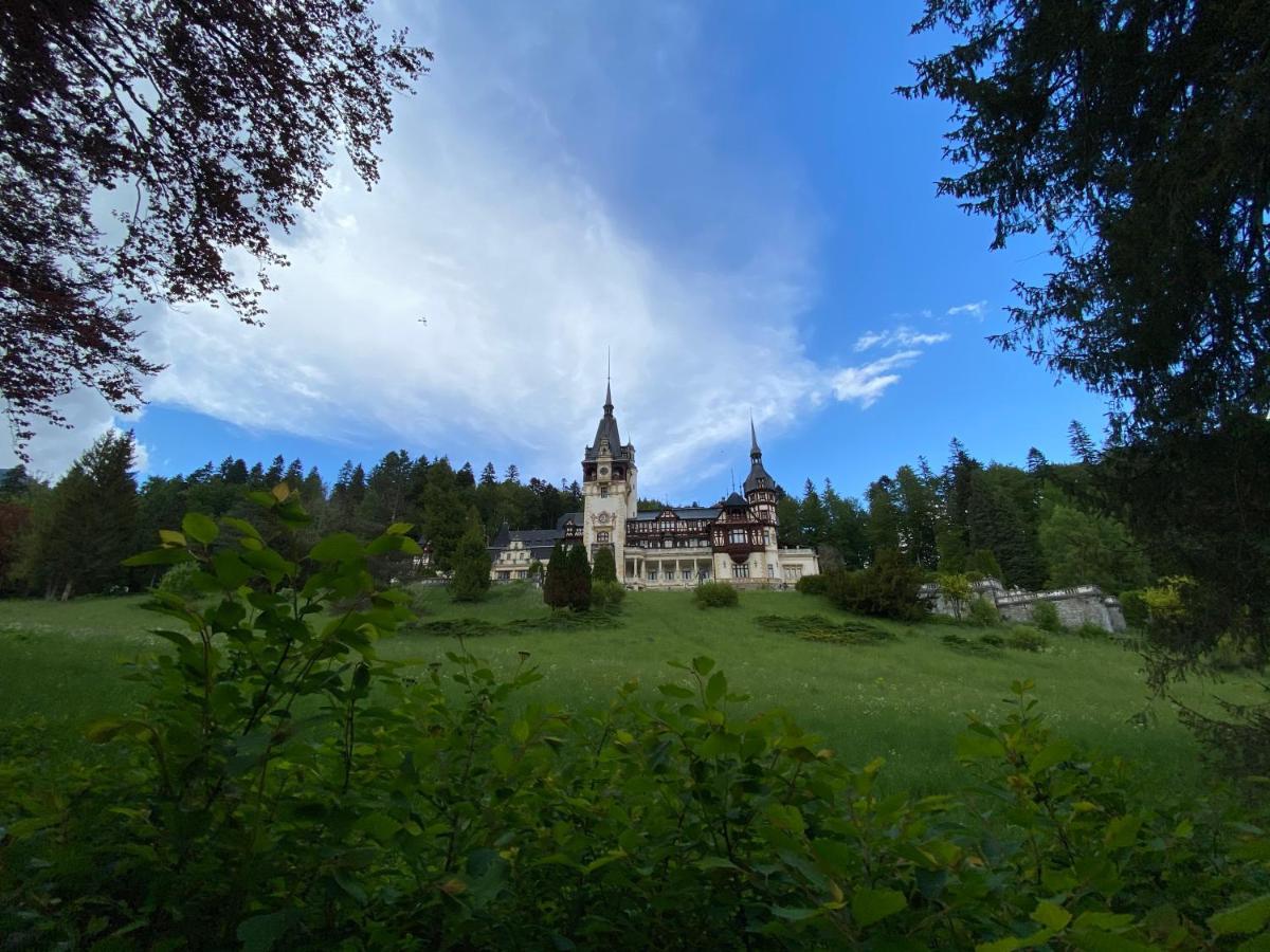 Vila De Argint Aleea Pelesului Nr 2 Sinaia Esterno foto