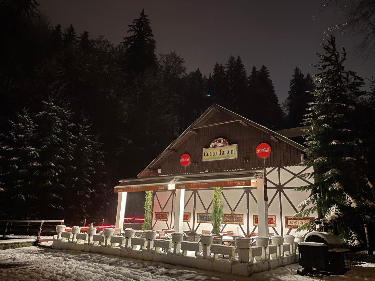 Vila De Argint Aleea Pelesului Nr 2 Sinaia Esterno foto