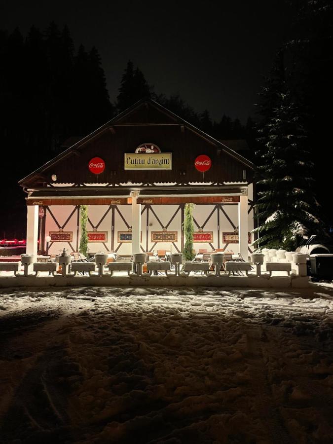 Vila De Argint Aleea Pelesului Nr 2 Sinaia Esterno foto