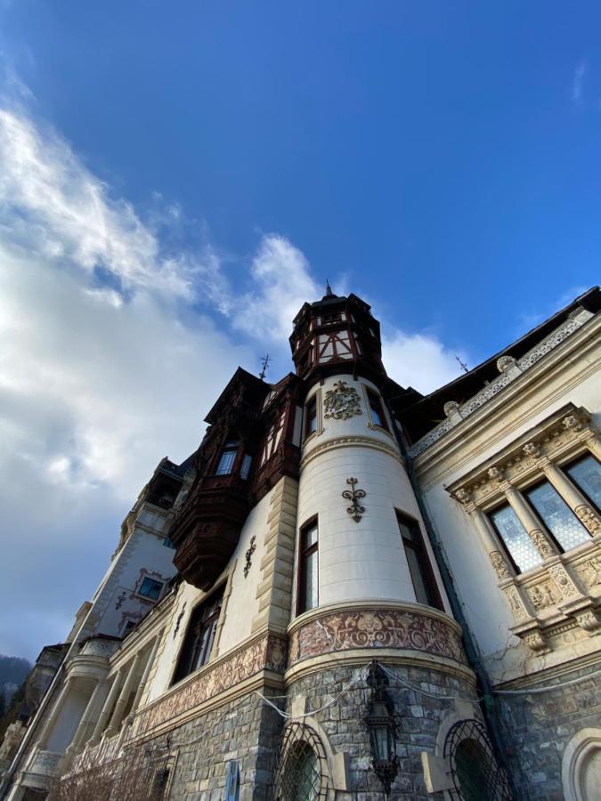 Vila De Argint Aleea Pelesului Nr 2 Sinaia Esterno foto