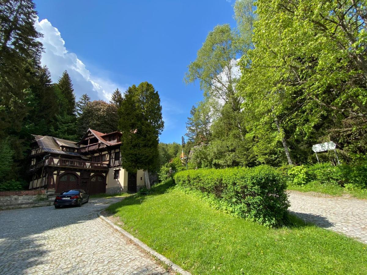 Vila De Argint Aleea Pelesului Nr 2 Sinaia Esterno foto