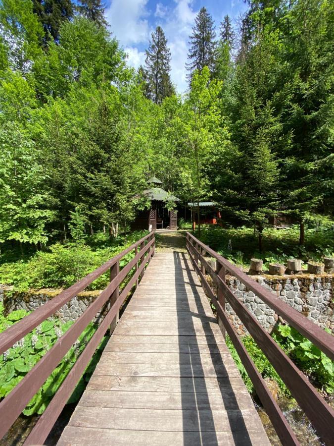 Vila De Argint Aleea Pelesului Nr 2 Sinaia Esterno foto
