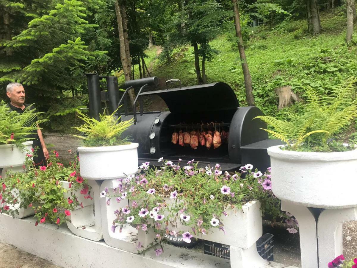 Vila De Argint Aleea Pelesului Nr 2 Sinaia Esterno foto