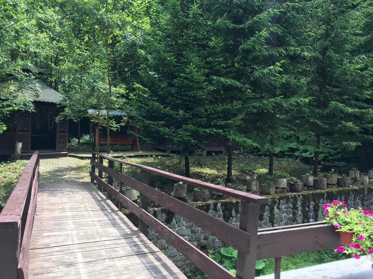 Vila De Argint Aleea Pelesului Nr 2 Sinaia Esterno foto